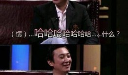 王思聪爆料娱乐圈,幕后真相与明星隐私大曝光