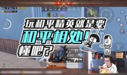 和平相处爆料视频,揭秘爆料视频背后的和谐故事