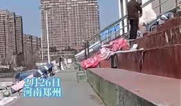 郑州学校网友爆料视频,揭秘校园内幕