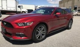 野马土耳其在线观看,土耳其在线观影之旅