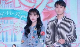 2024娱乐圈吃瓜大合集,年度吃瓜大合集深度解析