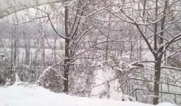 爆料下雪了视频素材高清,高清下雪视频素材捕捉雪景如画瞬间