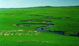 大草原在线观看,在线领略广袤草原的壮美画卷