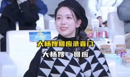 网上爆料大杨嫂录音视频,揭秘事件背后惊人真相