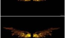 最全爆料特效视频下载,独家解析与深度解读