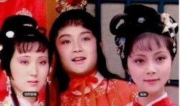 红楼影视在线观看,穿越时空的古典韵味