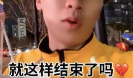 吃瓜网红王多鱼