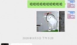 张恒爆料孩子照片视频大全,孩子照片视频大全曝光，温馨瞬间引网友热议