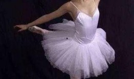 芭蕾舞鞋爆料视频大全下载,视频大全中的绝美舞姿与幕后故事