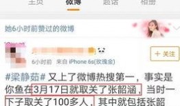 范玮琪友人爆料视频,背后惊人真相曝光