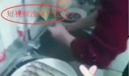 孝敬父母视频爆料,温情瞬间触动人心