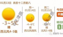 孝敬父母视频爆料,温情瞬间触动人心