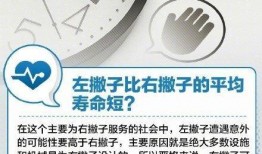 左撇子在线观看,揭秘左手世界的独特魅力