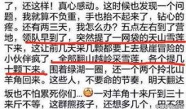 雪莲网友爆料视频,揭秘惊人内幕
