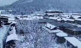 哈尔滨下雪爆料视频大全,一场视觉盛宴的雪爆视频集锦