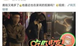 爆料各种明星事件视频播放,揭秘明星事件视频背后的真相与热度