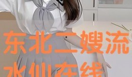 东北二嫂水仙在线观看,一场别开生面的东北风情盛宴