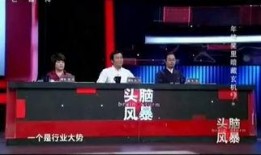 头脑玄机 在线观看,在线观看带你探索思维奥秘之旅