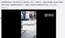 石家庄无极爆料事件视频,视频揭露惊人真相