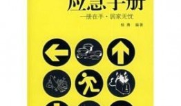 应召手册在线观看,在线观看背后的秘密与启示