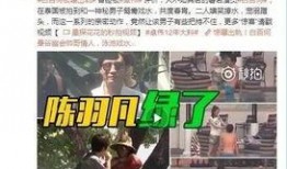 李丽欣被人爆料视频,真相与争议