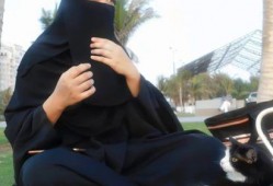 娱乐吃瓜君大叔,揭秘娱乐圈那些不为人知的幕后故事