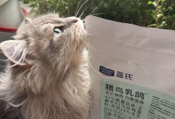 蓝氏猫粮爆料视频播放,揭秘猫粮品质背后的真相