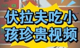 伏拉夫官方爆料了吗视频,独家内幕大公开