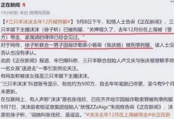 网上爆料大杨嫂录音视频,揭秘事件背后惊人真相