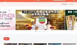 tvb在线观看网站,畅享港剧盛宴，尽在指尖