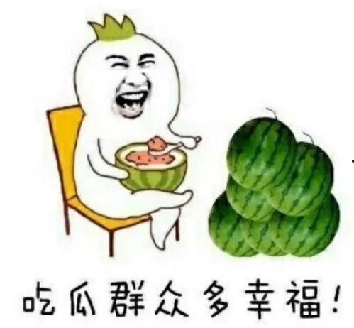 哪里可以吃娱乐圈瓜,揭秘明星们的幕后故事与幕后美食